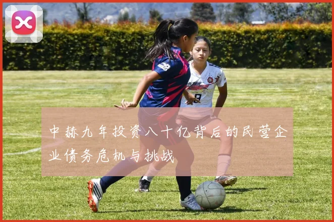 中赫九年投资八十亿背后的民营企业债务危机与挑战