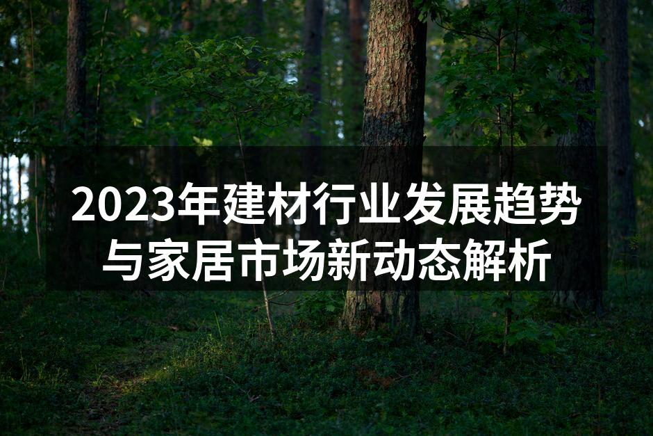 2023年建材行业发展趋势与家居市场新动态解析